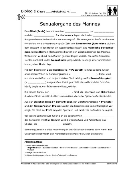 Hier klicken, um das Arbeitsblatt als PDF-Dokument anzeigen zu lassen!