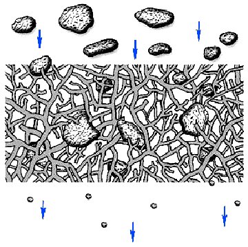 Schematischer Aufbau eines Papierfilters